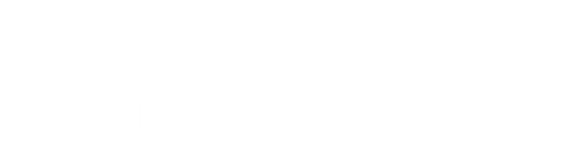 Felicity HC Fang CPA PA